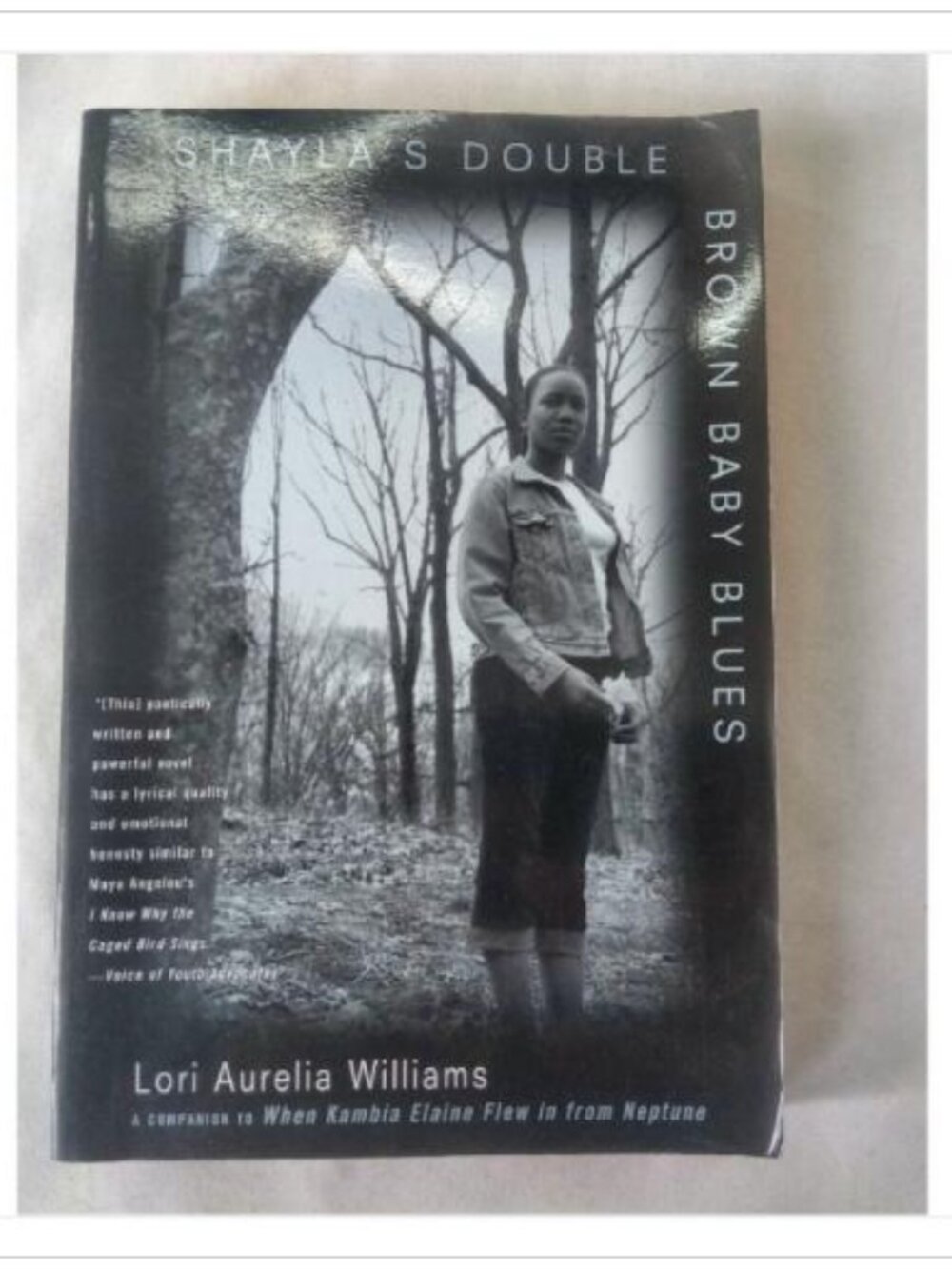 Shayla's Double Brown Baby Blues Lori Aurelia Williams 2003 First Edition Book